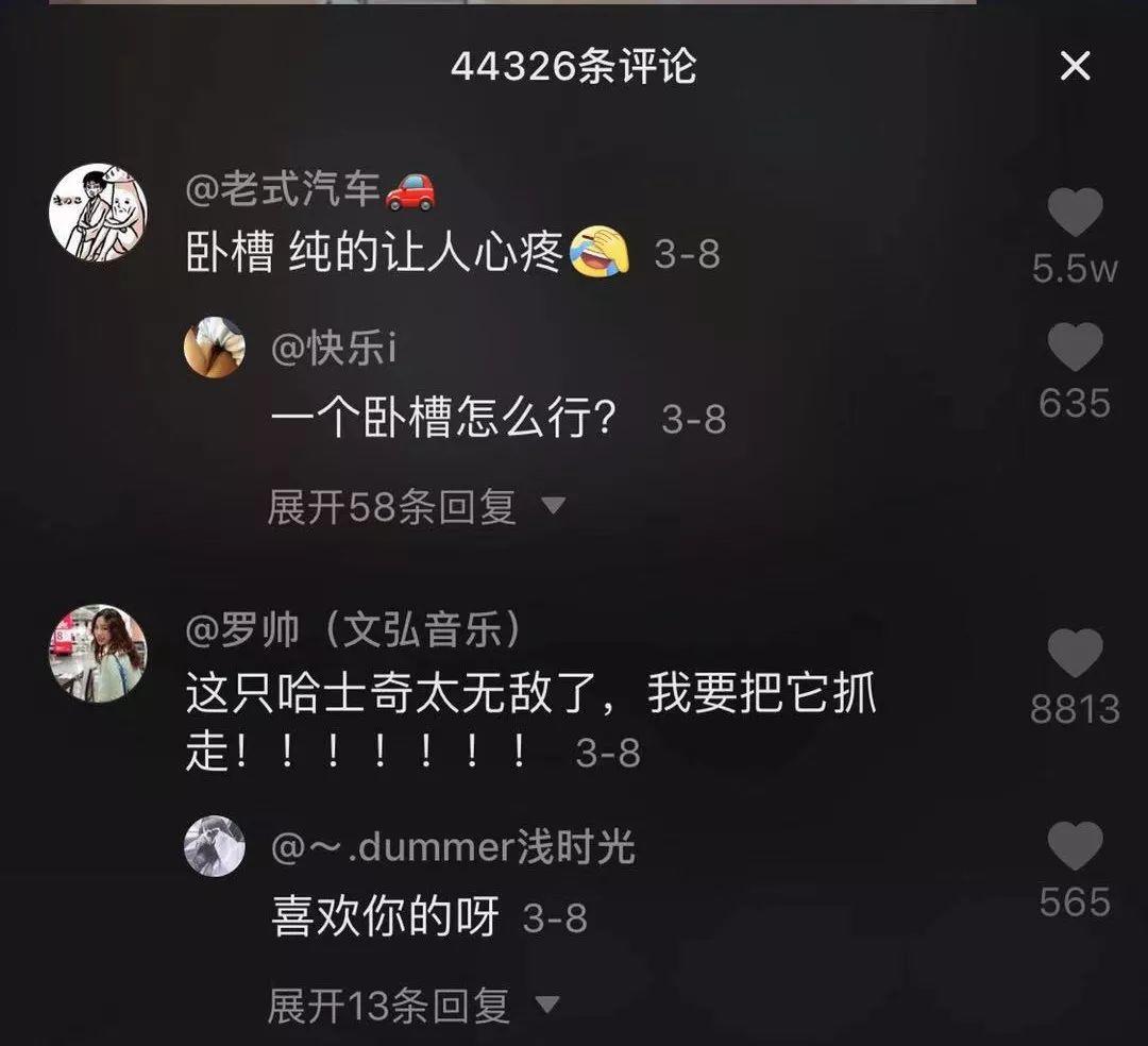 天兔网抖音粉丝_抖音粉红兔_粉丝兔兔是什么意思