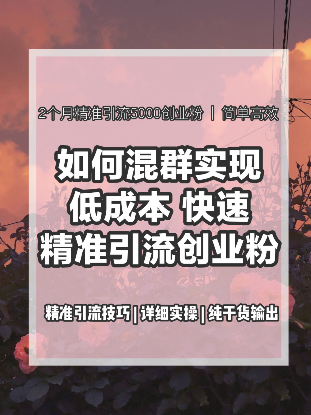 僵尸刷粉推广网站是什么_刷僵尸粉网站推广_僵尸刷粉推广网站推荐