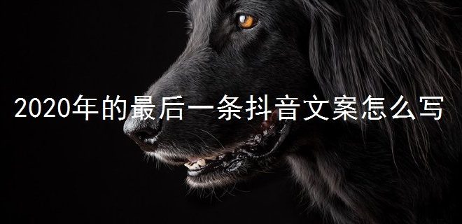 抖赞平台_抖音点赞下单网站_抖音点赞24小时下单诚信网站