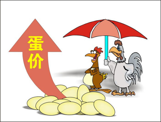 易涨网_富贵涨易v官方下载_腐书网不要在插了好涨