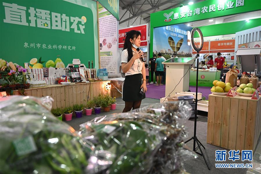 快手粉丝一元1000个粉丝要多久_1w粉丝快手_快手1000粉丝什么价位