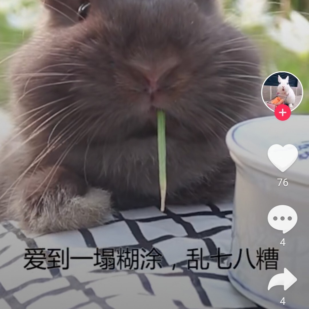 粉丝运营官_天兔网抖音粉丝运营平台_抖音粉丝运营是什么