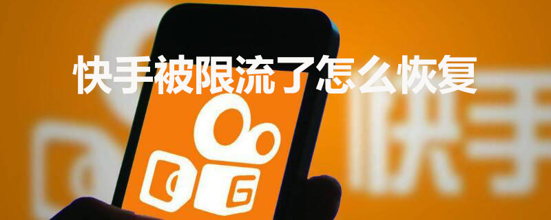 快手播放量1万算什么水平_快手播放量换算_快手平台播放量的计算