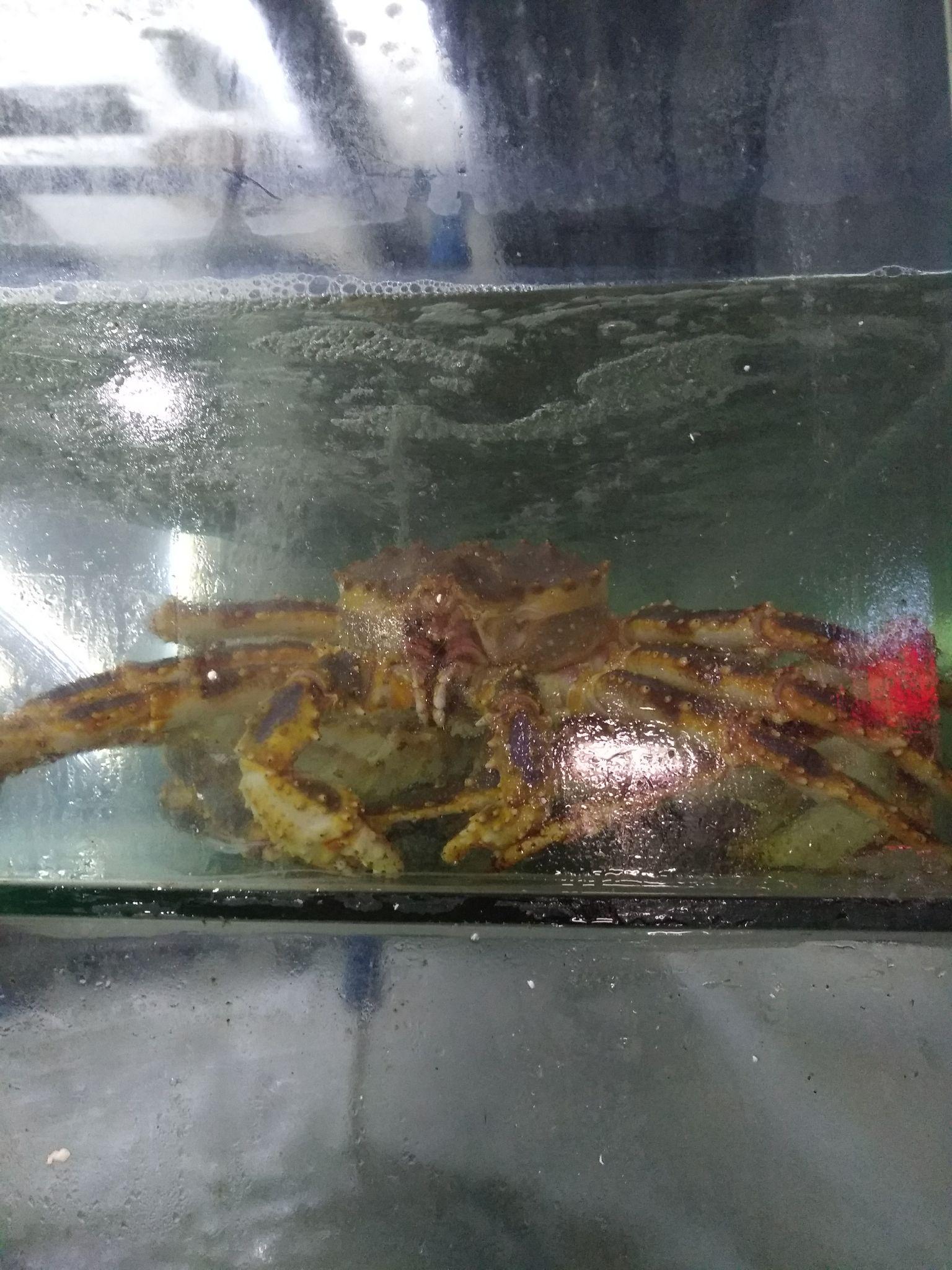 涨粉涨赞是什么意思_免费涨赞神器_涨粉点赞网站