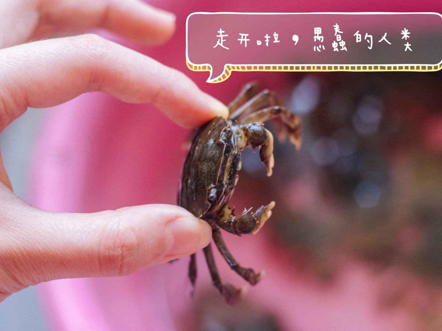 免费涨赞神器_涨粉涨赞是什么意思_涨粉点赞网站