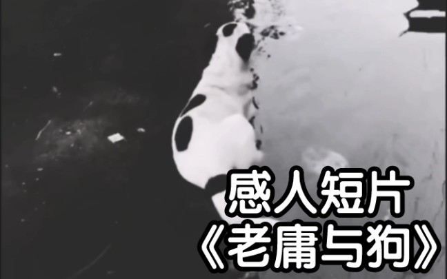 快手买8万活粉_快手花钱买活粉_快手活粉购买