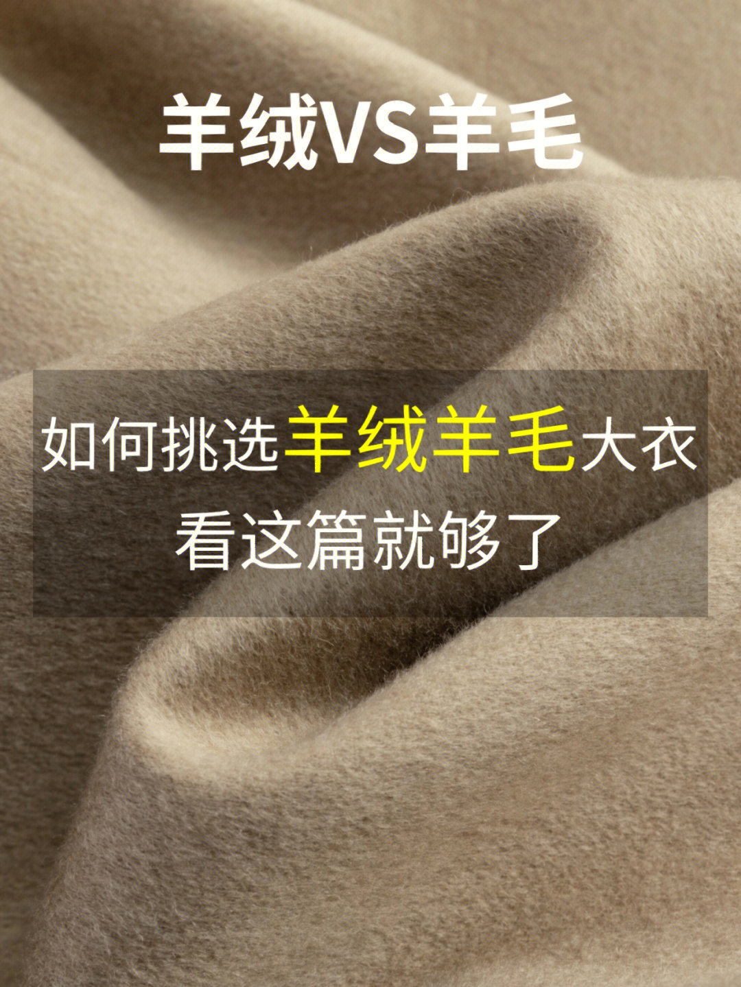 下单在线丝粉b站能看到吗_b站粉丝在线下单_b站买的粉丝是活粉吗