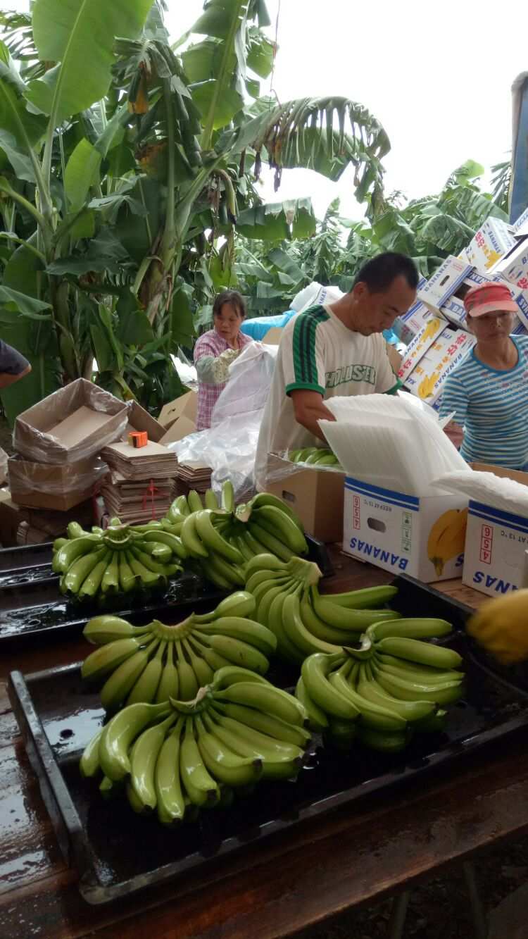 下单在线丝粉b站能看到吗_b站粉丝在线下单_哔站粉丝购买