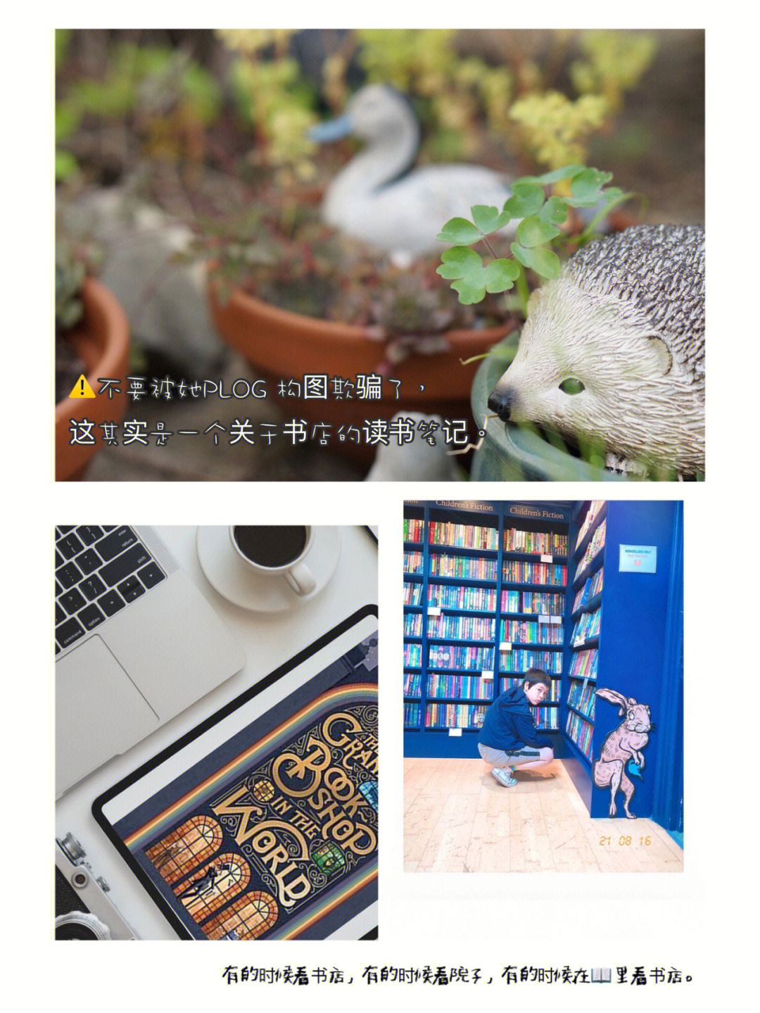 淘宝快手刷粉_快手买的粉有用吗_哪里可以买快手粉
