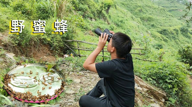 抖音粉在线下单_抖音粉丝下单网_抖音活粉下单网站