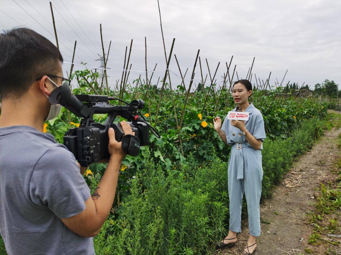 快手粉丝掉了是怎么回事_快手粉丝一元100个不掉粉链接_快手粉丝掉的速度特别快