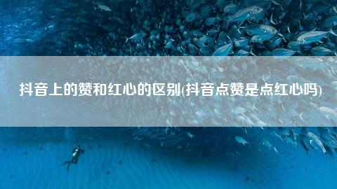 赞快手点赞赞赞_快手平台点赞的赞美之词_快手点赞
