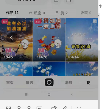 快手粉丝排行榜_排行榜丝粉快手怎么看_最新快手粉丝排名前三十排行榜