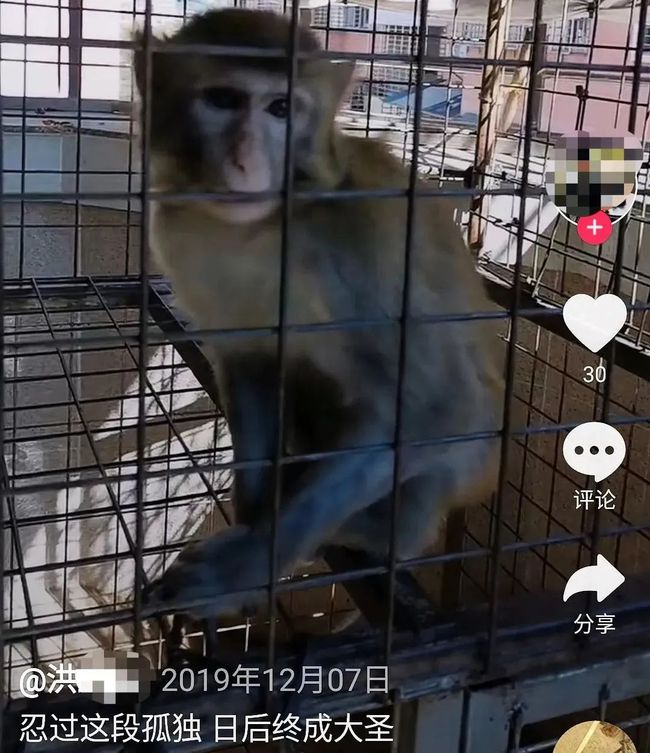 抖音粉丝下单平台都有什么_抖粉app赚钱_抖音活粉下单网站