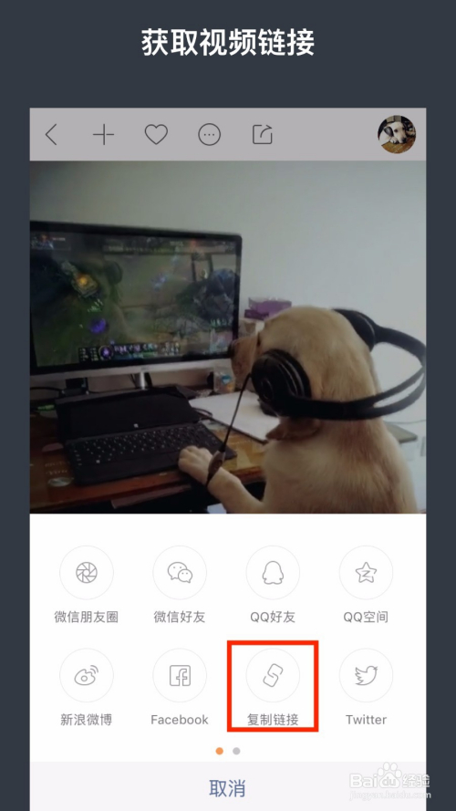 快手热门视频下载_视频热门快手下载什么软件_视频热门快手下载安装