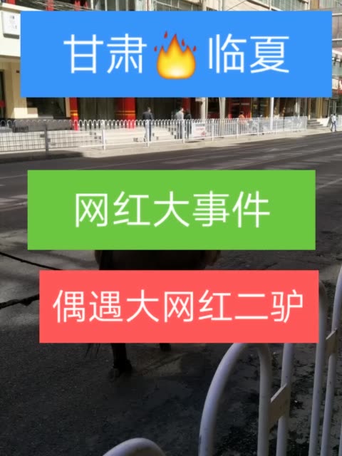 粉小狞快手_快手刷粉手机版_快手买粉丝