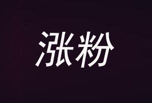 快手粉丝怎么买_gif快手刷粉器_快手刷粉