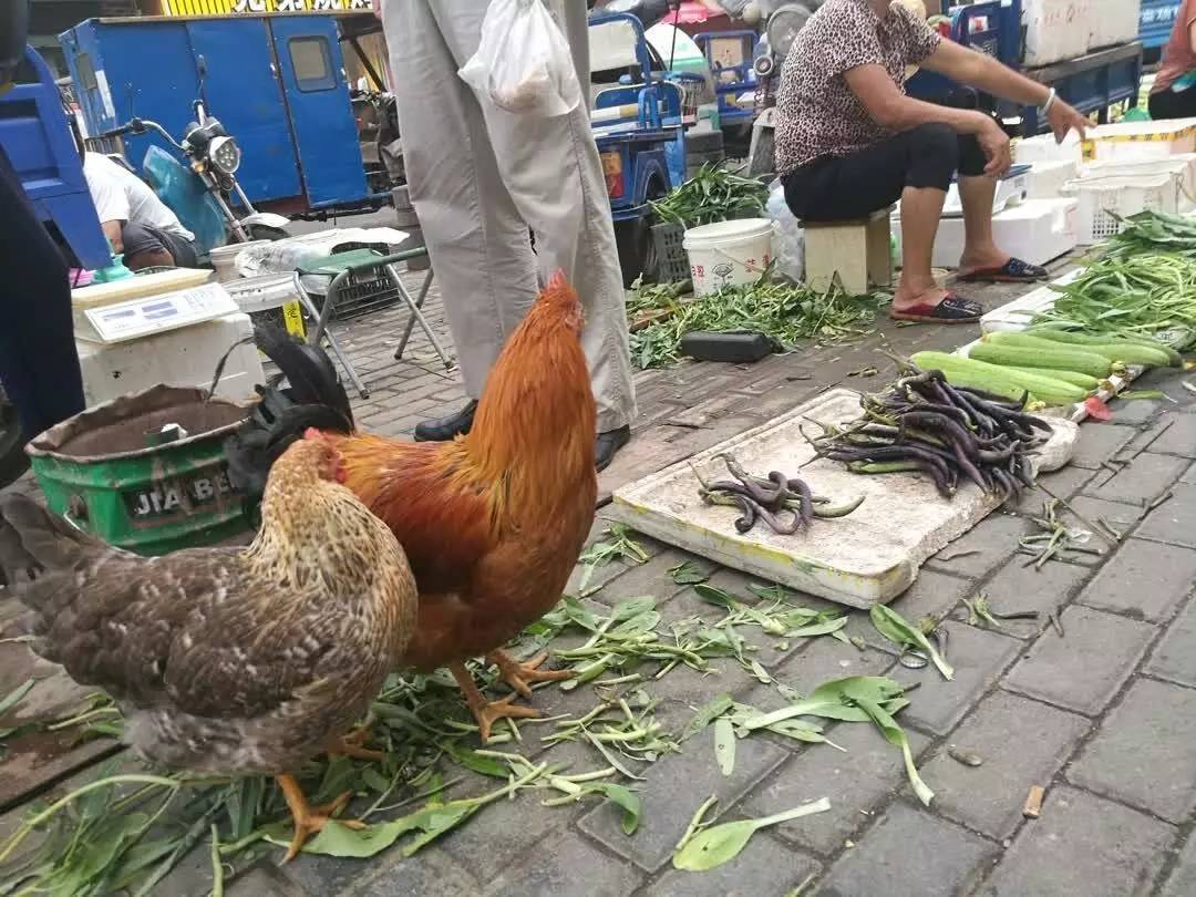 屁股变大啥原因_屁股变大是什么原因引起的_大屁股显示器多少钱