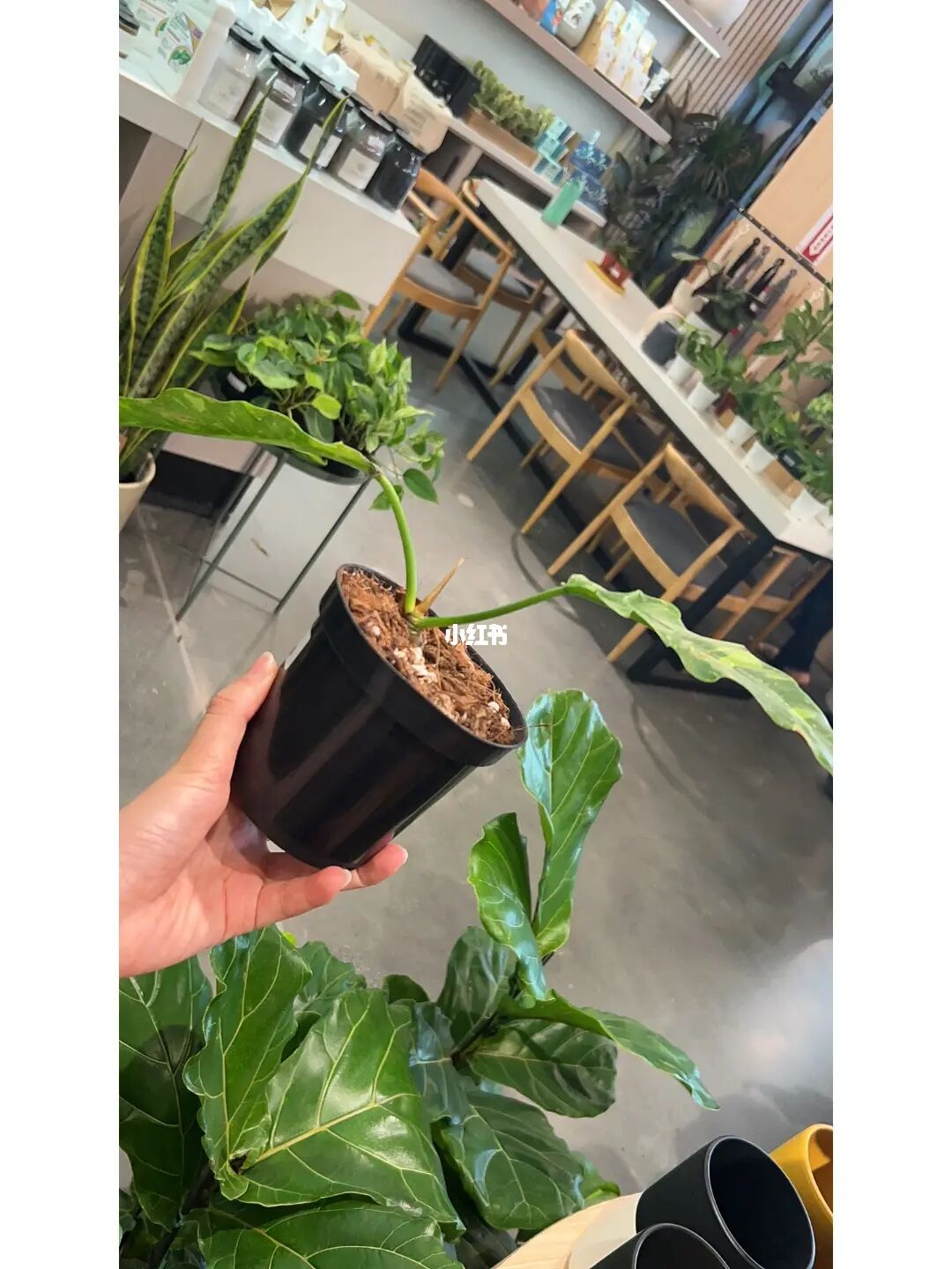 是贫穷限制了想象力图_贫穷是一切罪恶之源_计较是贫穷的开始小说