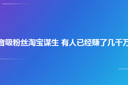 丝粉快手淘宝买多少钱_淘宝怎么买快手粉丝_淘宝有卖快手粉丝的吗