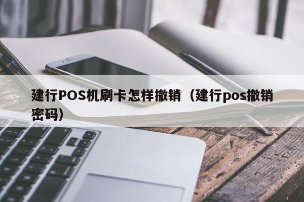 pos机pay支付怎么操作_达派支付手机pos机刷卡器_手机pos刷卡器