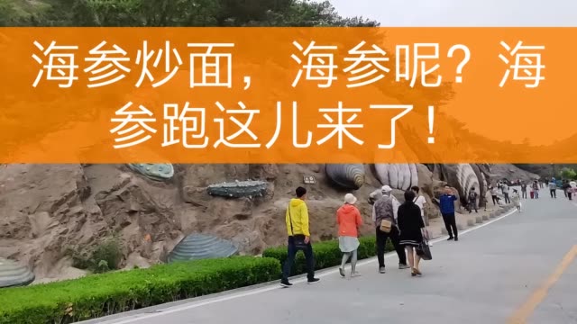 快手刷活粉有真人吗_8元一万快手粉丝活粉能赚多少_快手有没有刷活粉的