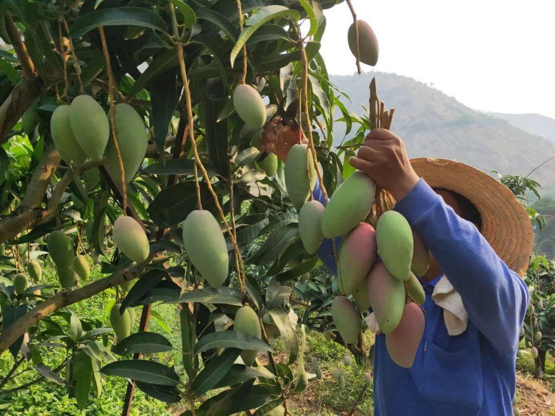 自助下单平台软件下载_24小时自助下单平台网站_自助下单小助手