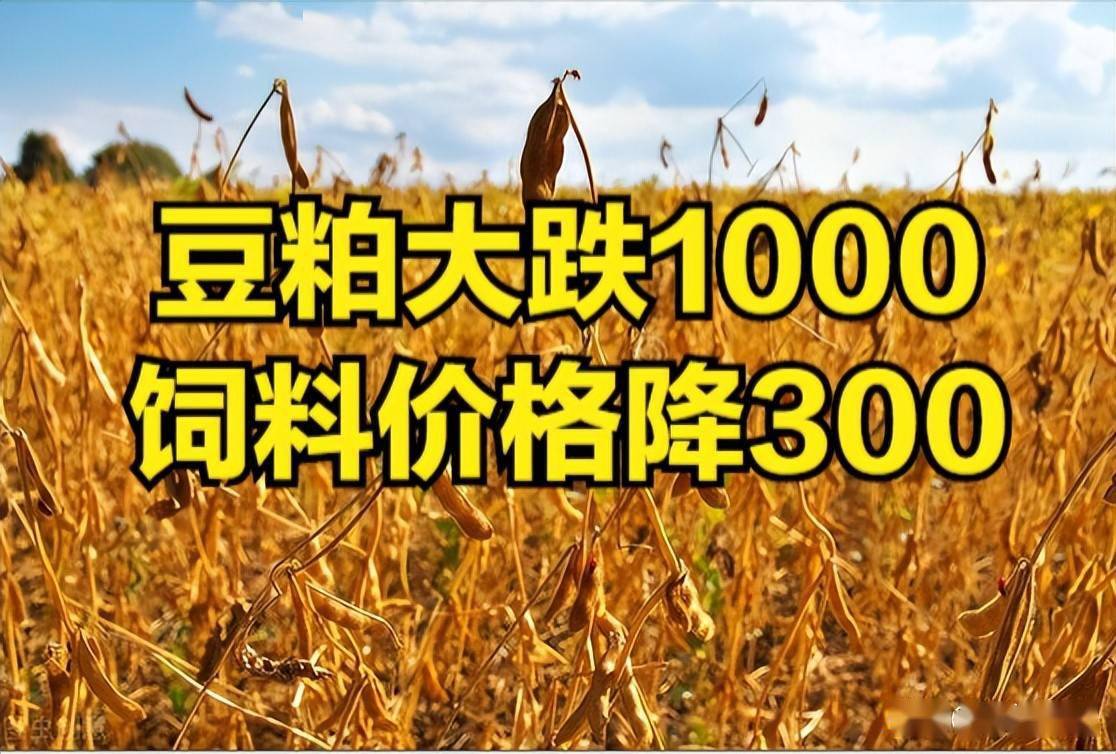 涨粉丝赚钱吗_涨粉丝是什么意思_1元涨1000粉	一元1000个粉丝平台