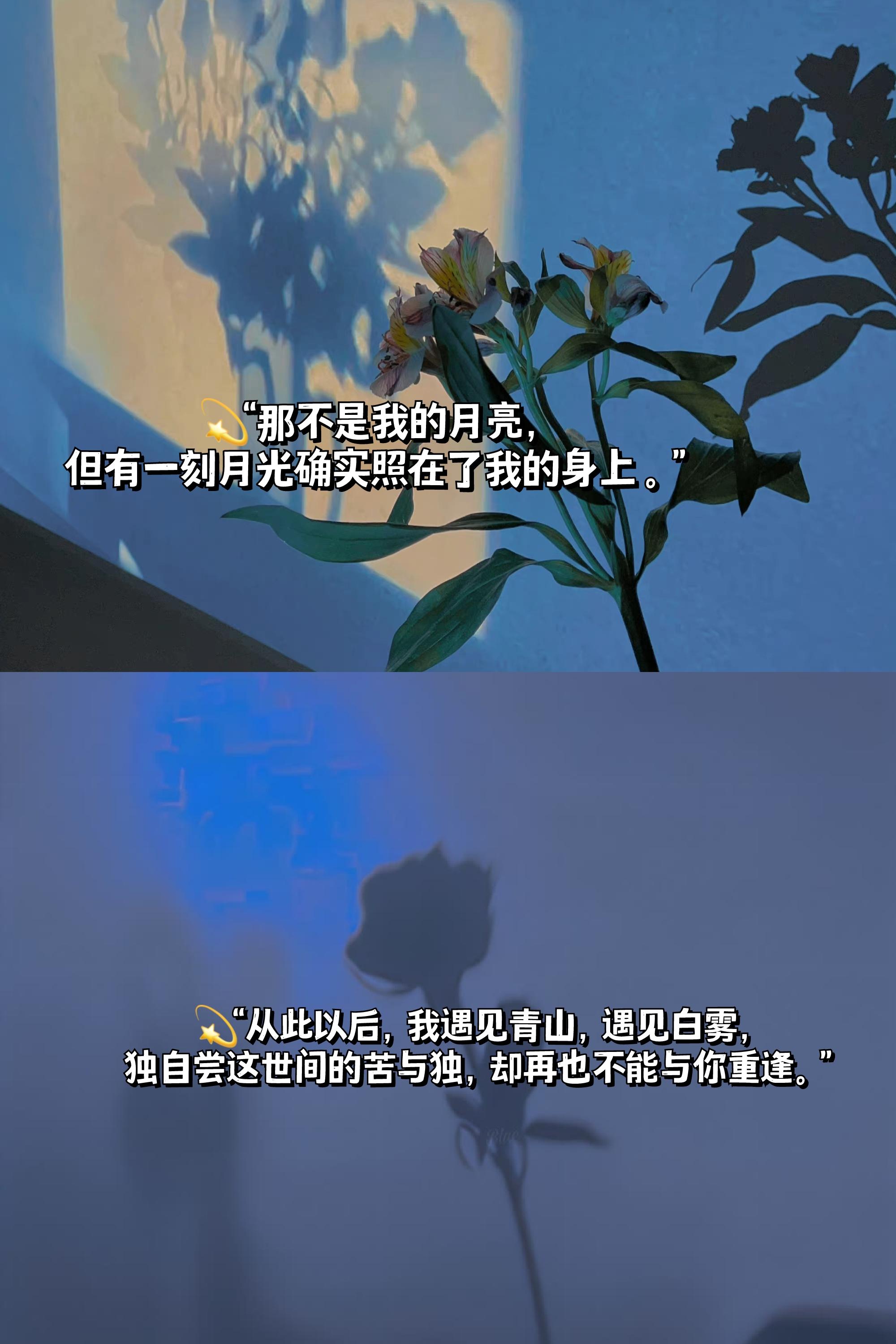 抖音点赞吧_抖音点赞_app抖音点赞