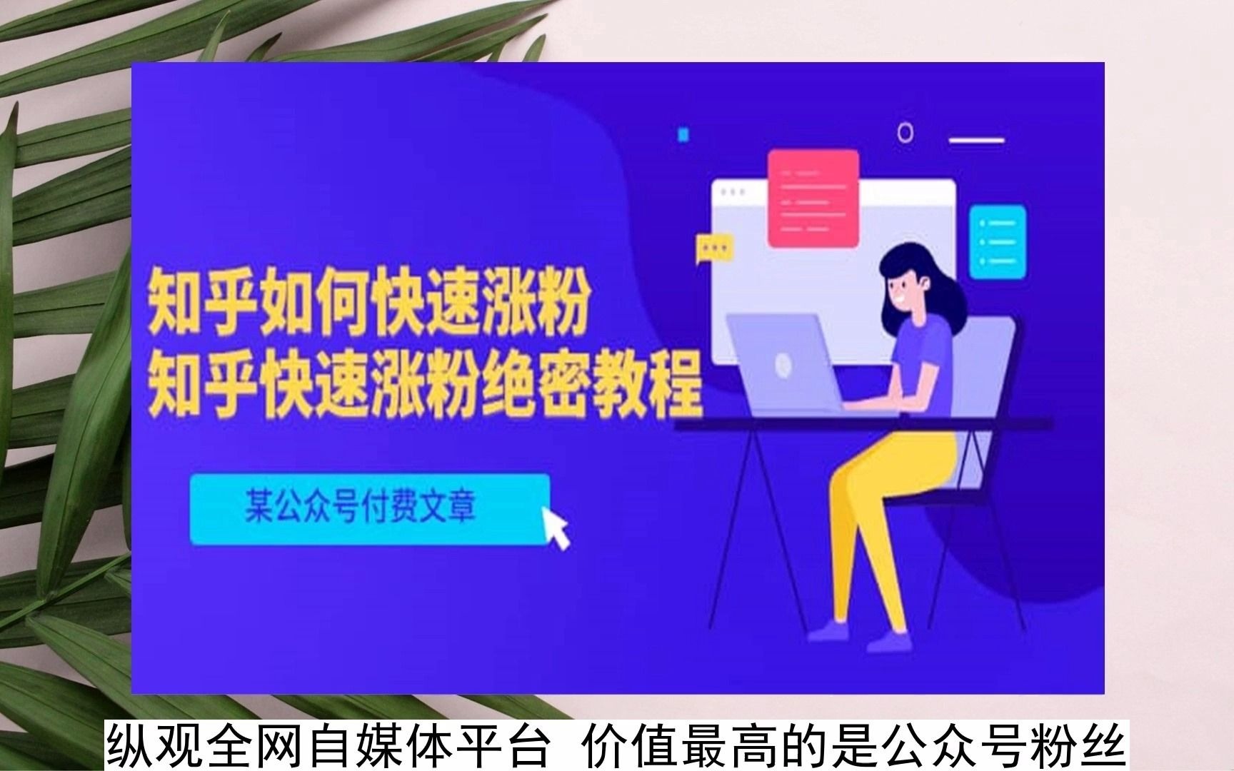 粉丝号可以卖钱吗_粉丝号出售_买个10万粉丝的号多少钱