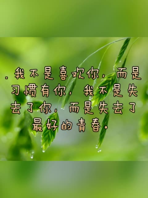 购买快手播放量wz_快手购买播放量的软件_快手播放量下单平台
