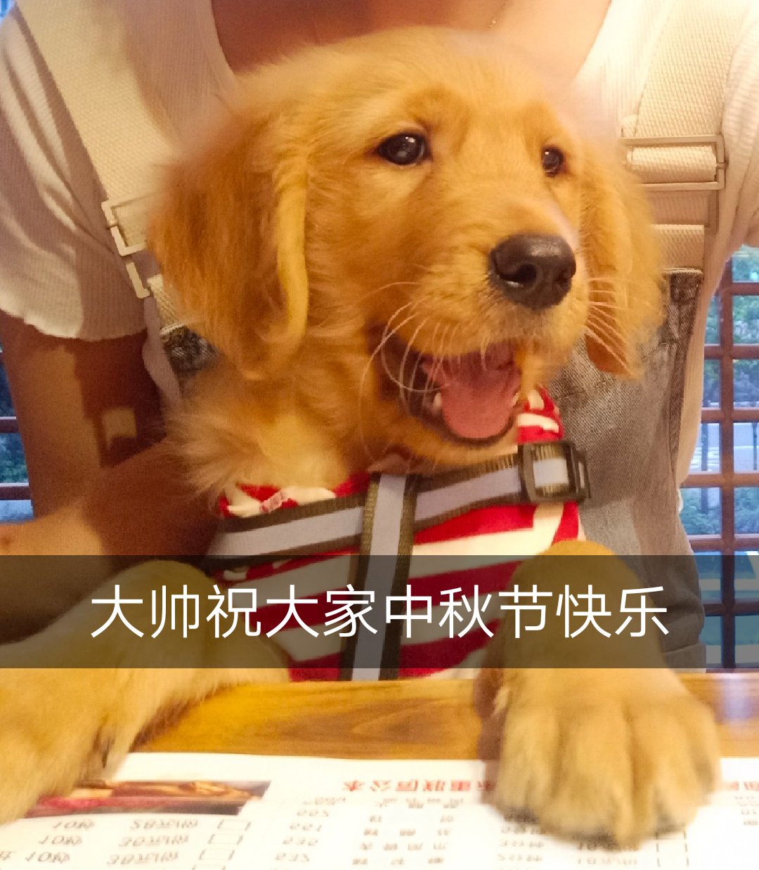 快手网红热门事件_快手热门出人命事件_2020快手事件
