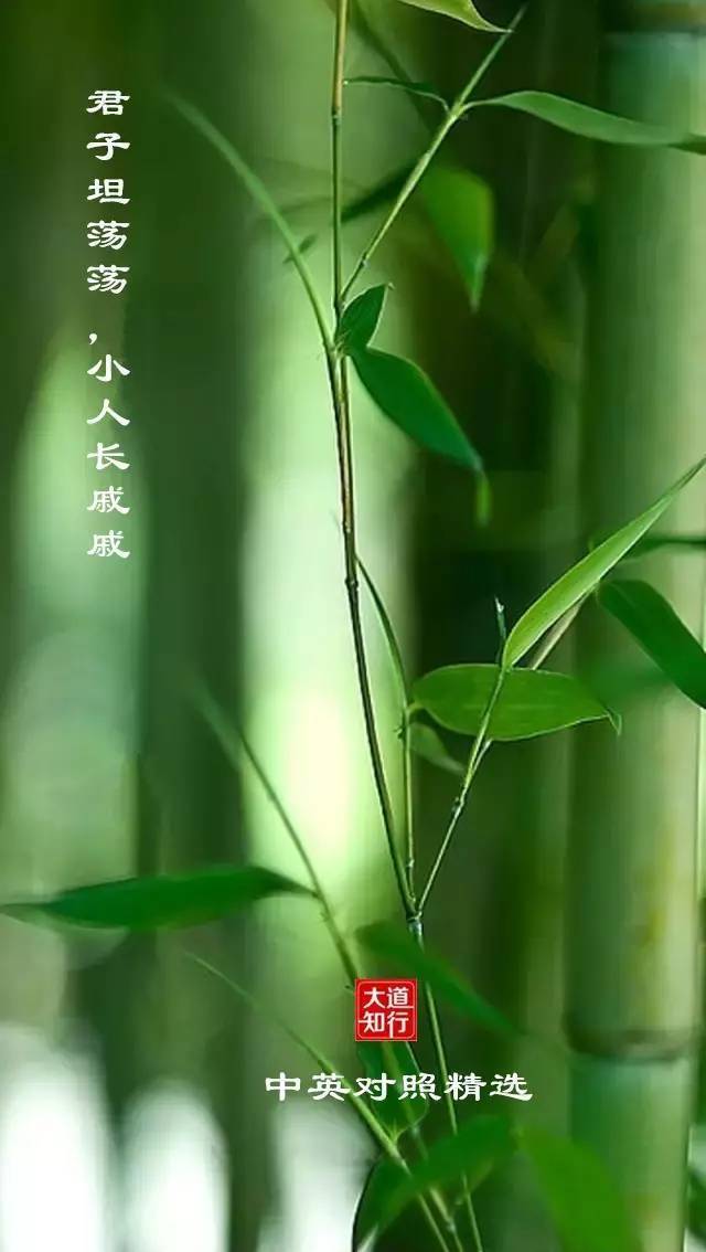 每日领赞1000到2000_每天领1000赞的网站_每日领100赞网站
