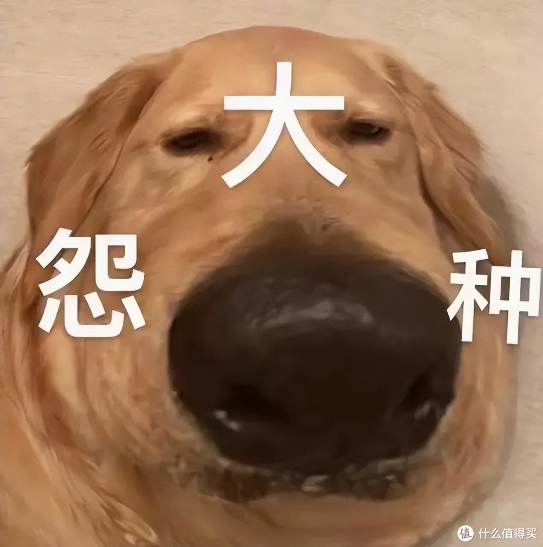 点赞网站免费_说说赞20个的网址_免费的赞