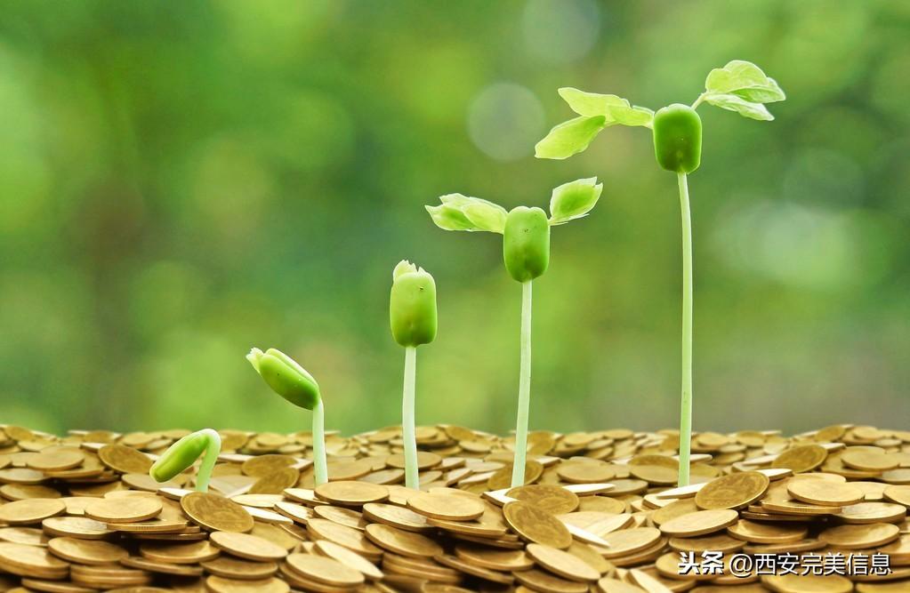 快手刷播放量软件大全_快手刷播放量软件大全_快手刷播放量软件大全