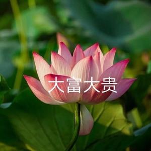 抖音点赞粉丝下单平台便宜_抖+买的赞是真粉丝吗_抖音上的赞和粉丝有什么用