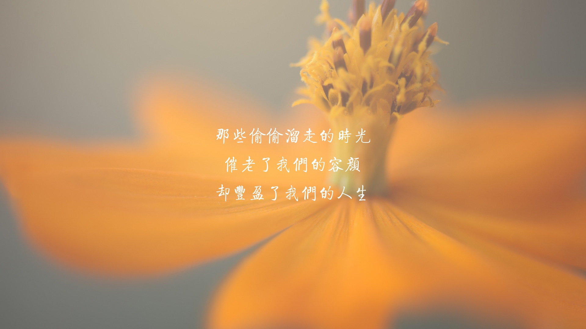 小玛电动车遥控器怎么换电池_整理房间日记200_网页点赞