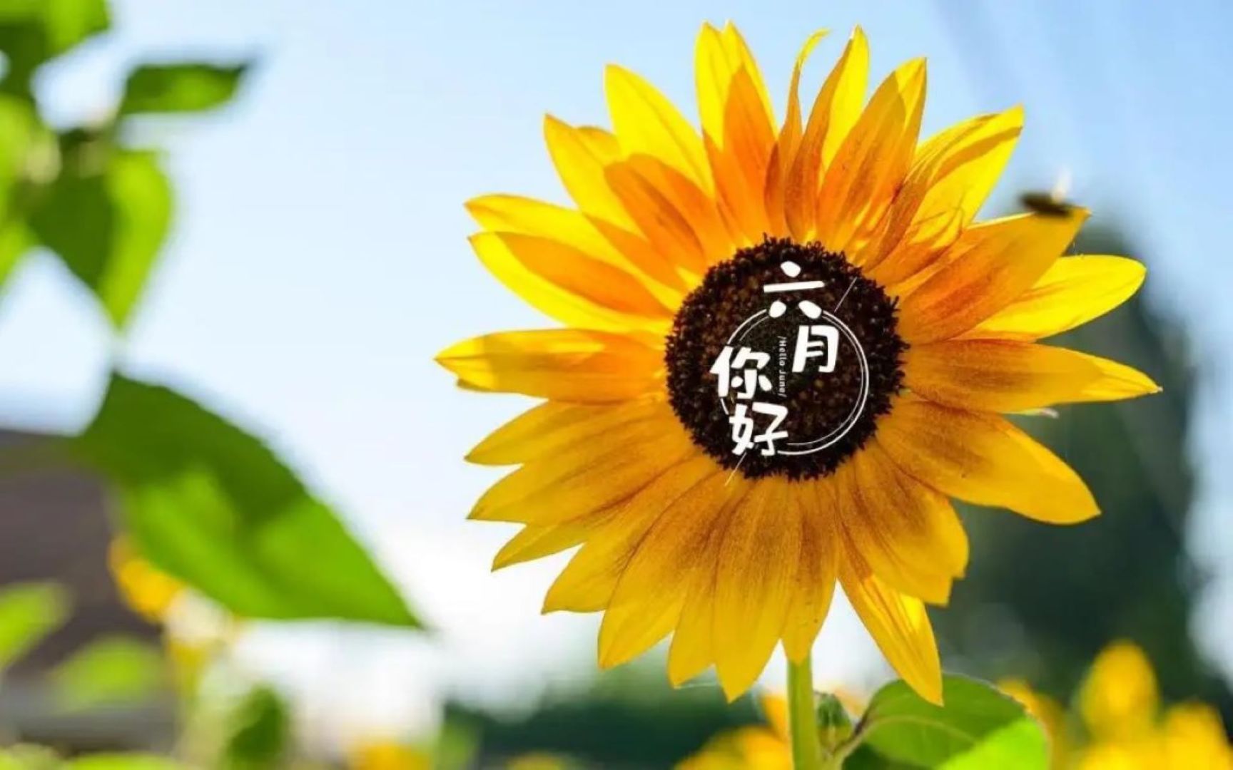 整理房间日记200_网页点赞_小玛电动车遥控器怎么换电池