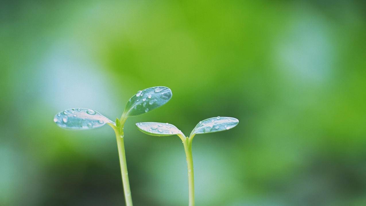 快手怎么上热门_快手上热门的征兆_啥叫快手上热门