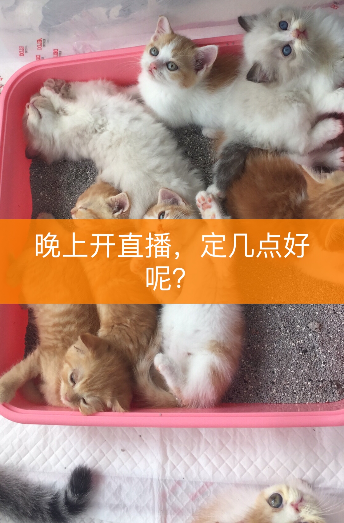 2020快手事件_快手热门事件_快手门事件20部亮点自己找