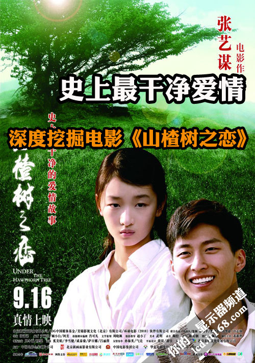 快手上热门可维持多久_快手长期上不了热门_热门快手长期上热门好吗