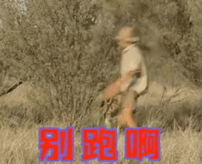 快手双击66是什么意思_双击意思快手是啥意思啊_在快手里面什么叫双击
