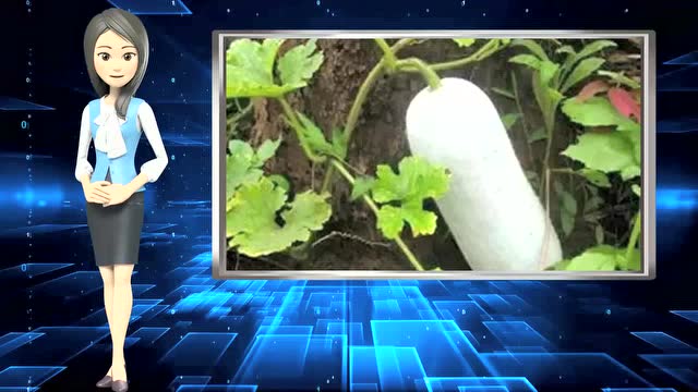 什么样快手号老上热门_快手很容易热门吗_快手老号容易热门吗