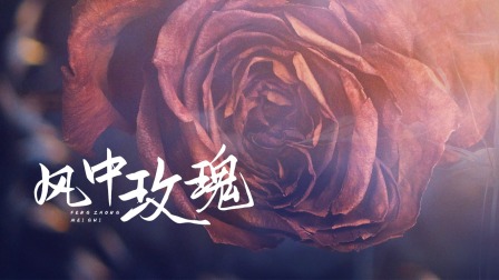 播放量点击量_点击量和播放量怎么赚钱_快点播放量网站