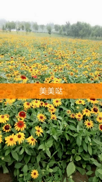购买快手播放量wz_购买快手播放量软件下载_快手播放量下单平台