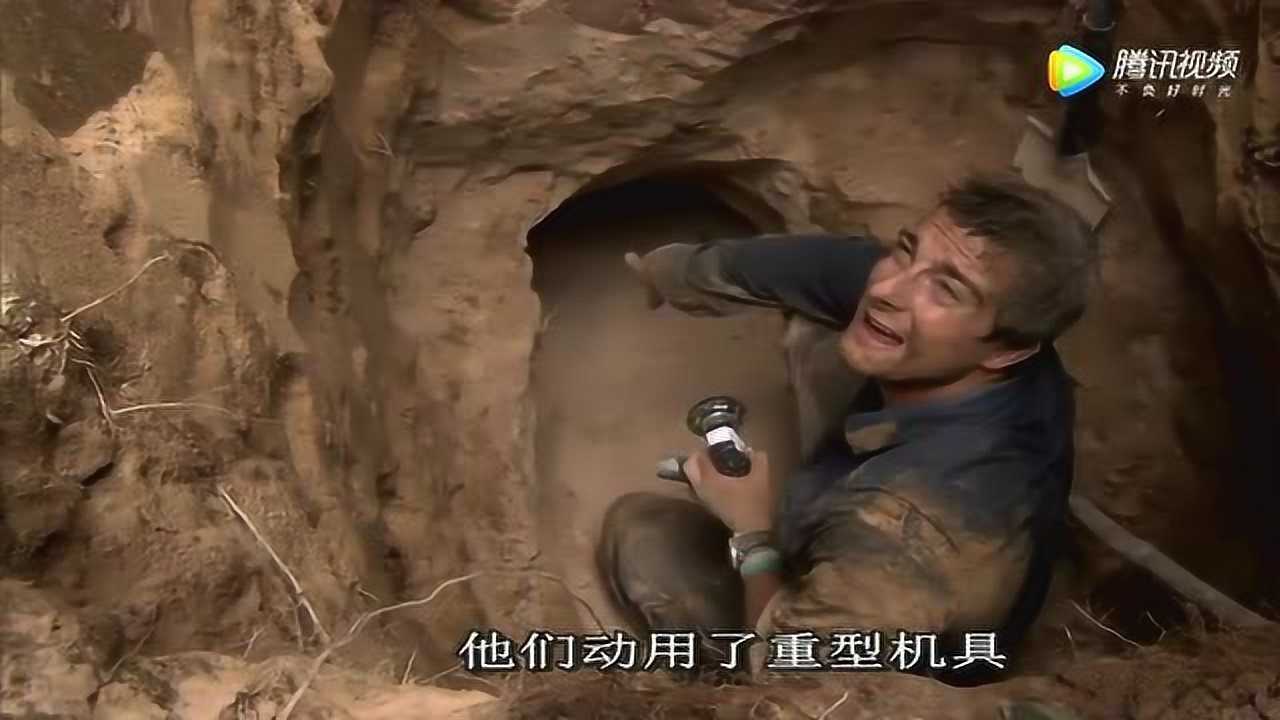 点播量什么意思_点播量放网站违法吗_快点播放量网站