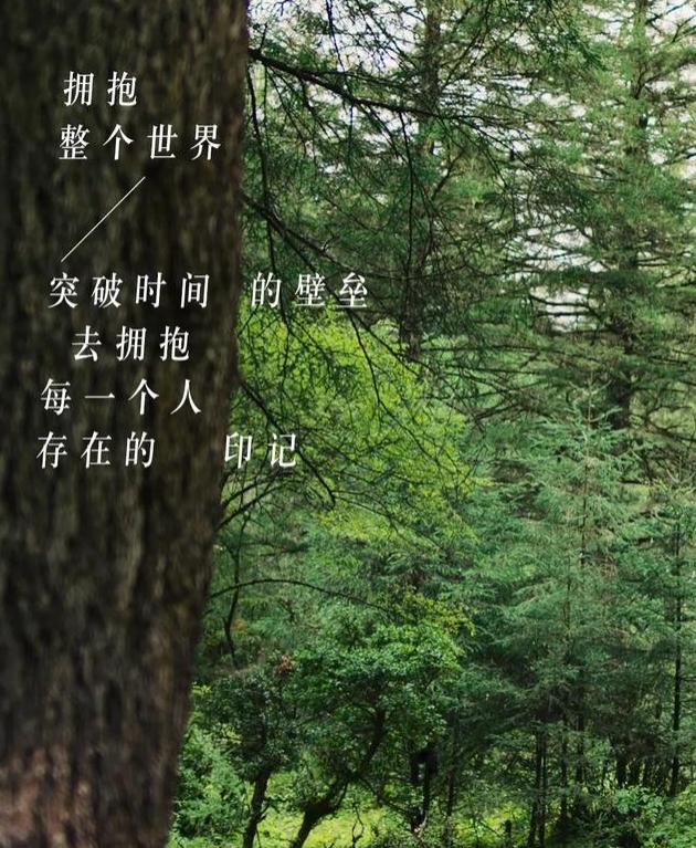 快手上热门标题文字短_快手什么标题容易热门_热门标题快手容易被限流吗