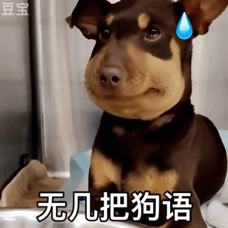 抖音业务下单最便宜的_抖音全网便宜下单平台_抖音价格便宜