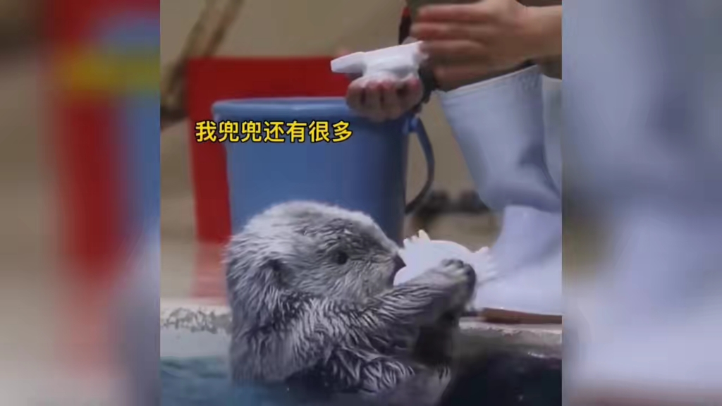 热门快手反串歌曲_热门快手反串视频_快手热门反串