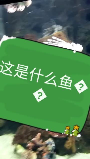 热门快手事件视频_2020快手事件_快手热门事件